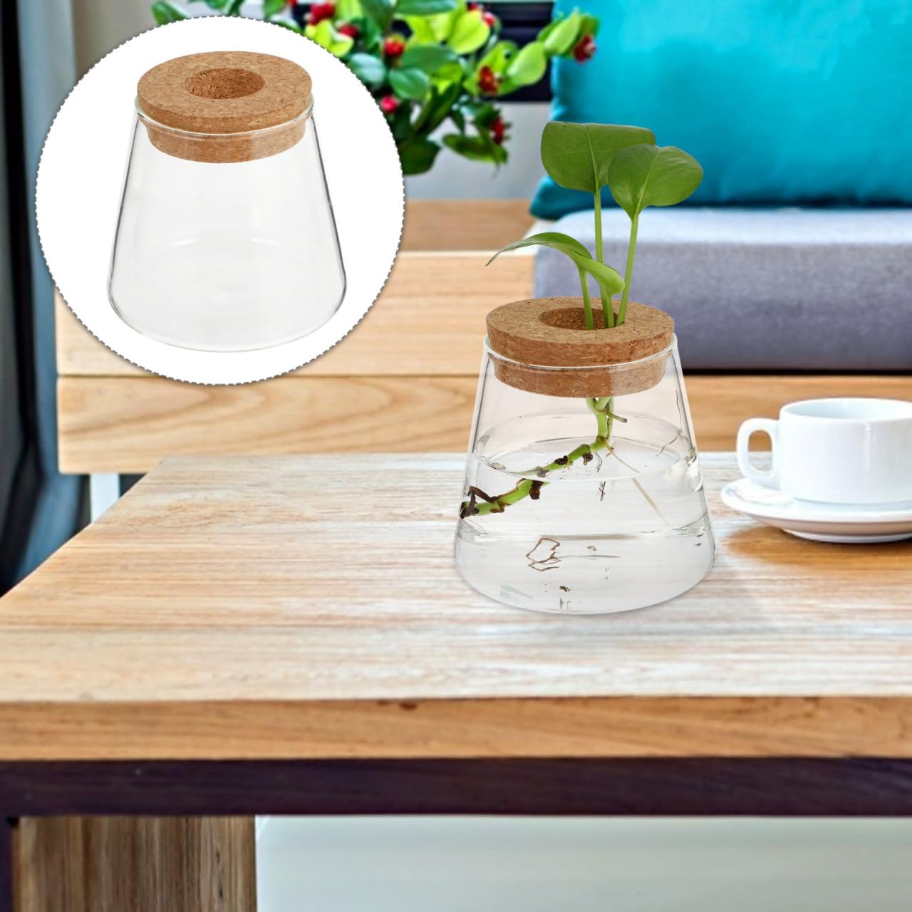 2pcs Propagation Stations, Plant Terrarium Propagating Vases, Chic Hydroponics Vase Elegant Desktop Glass Planter with Wood Lid for Home Decoration