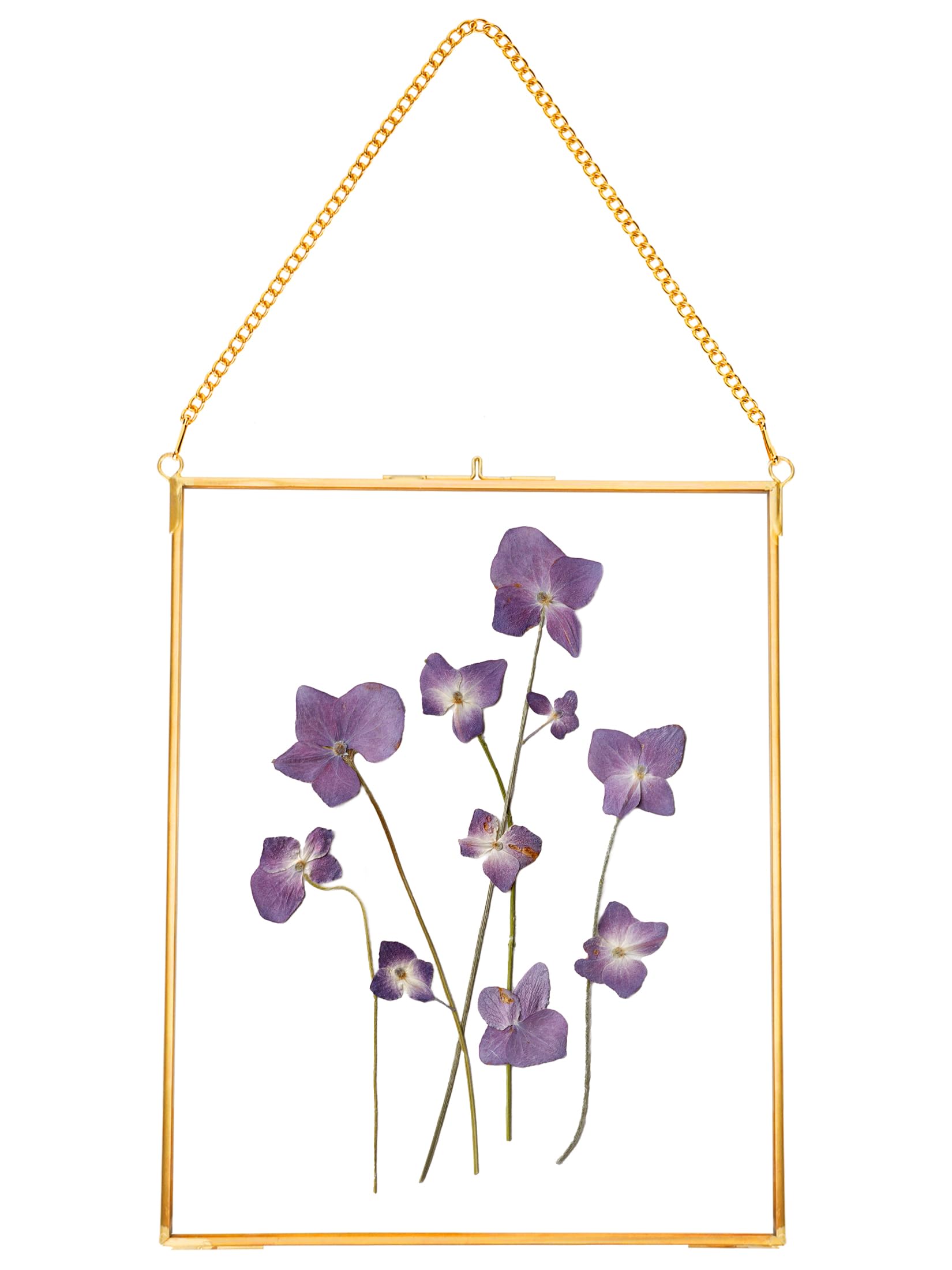 Hanging Pressed Flower Frames, Double Glass Floating Picture Frame Handmade, Glass Frame for Pressed Flowers, Vintage Brass Picture Frame for Artwork Wall Display Mount, Gold, 8x10 Inches