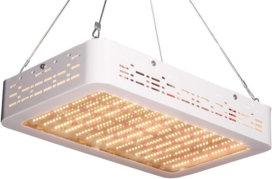 XECCON 2000W LED Grow Light for Indoor Plants Double Switch Full Spectrum Greenhouse Hydroponic Seedling Veg Flower (2x4ft)