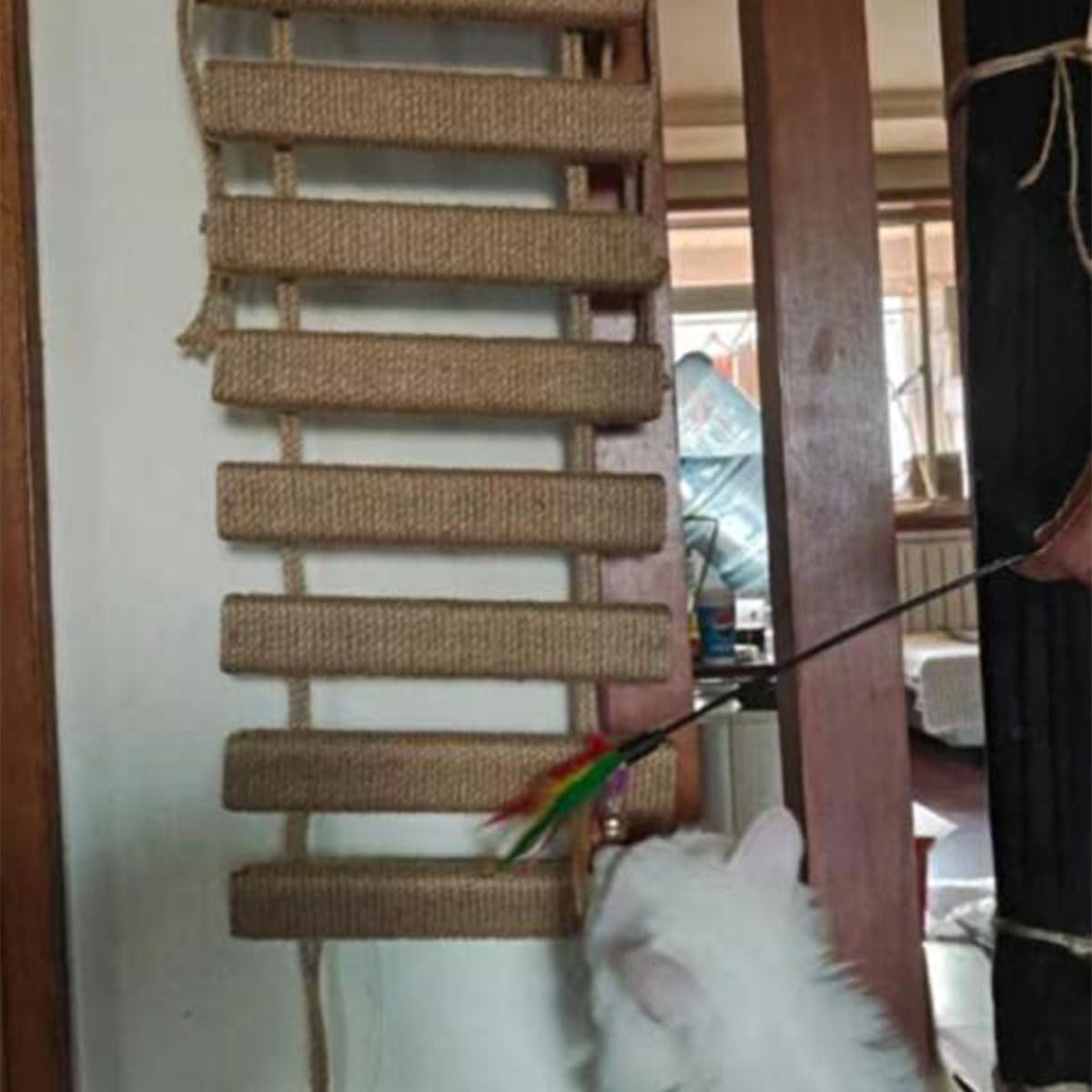 Pont d'échelle pour chat pour mur, cadre d'escalade, corde d'escalade pour chat, jouets, arbre à chat d'extérieur, corde en sisal, cadre d'escalade, meubles pour animaux de compagnie (A, 100 cm, 1)