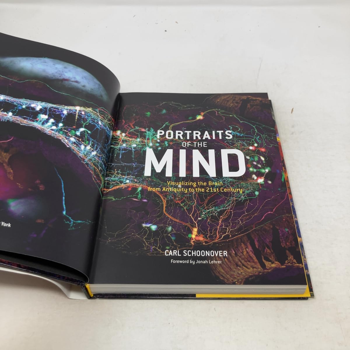 Portraits of the Mind:Visualizing the Brain from Antiquity to the: Visualizing the Brain from Antiquity to the 21st Century
