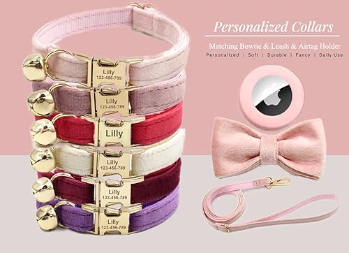 Miniatura 2 de Personalized Cat Collar with Gold Buckle and Engraved Name Tag Estilo de terciopelo