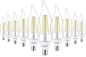 Dusk to Dawn LED Outdoor Light Bulb: Sunco's Energy-Efficient Solution for Effortless Illumination