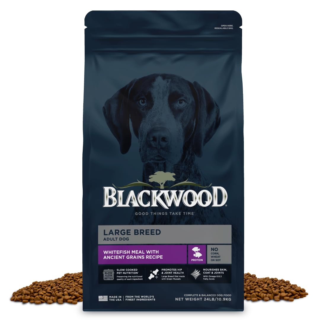 Blackwood Large Breed Dry Dog Food, Whitefish with Ancient Grains, 24 Pound Bag for Adult Dogs, Slow Cooked with Green Mussels to Promote Hip & Joint