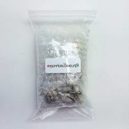 Miniatura 9 de PEPPERLONELY 25PC Day-Break Cowry Sea Shells, Palmadusta Diluculum Shells, 34 pulgadas  1-14 pulgadas