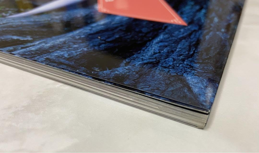 Amazon.co.jp: 篠山 紀信「快楽の館」写真集 原美術館 壇蜜 : ホーム  