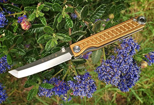 Statgear Pocket Samurai Micro Folding Knife 440C Stainless Steel Tanto Blade Higonokami #TOP3