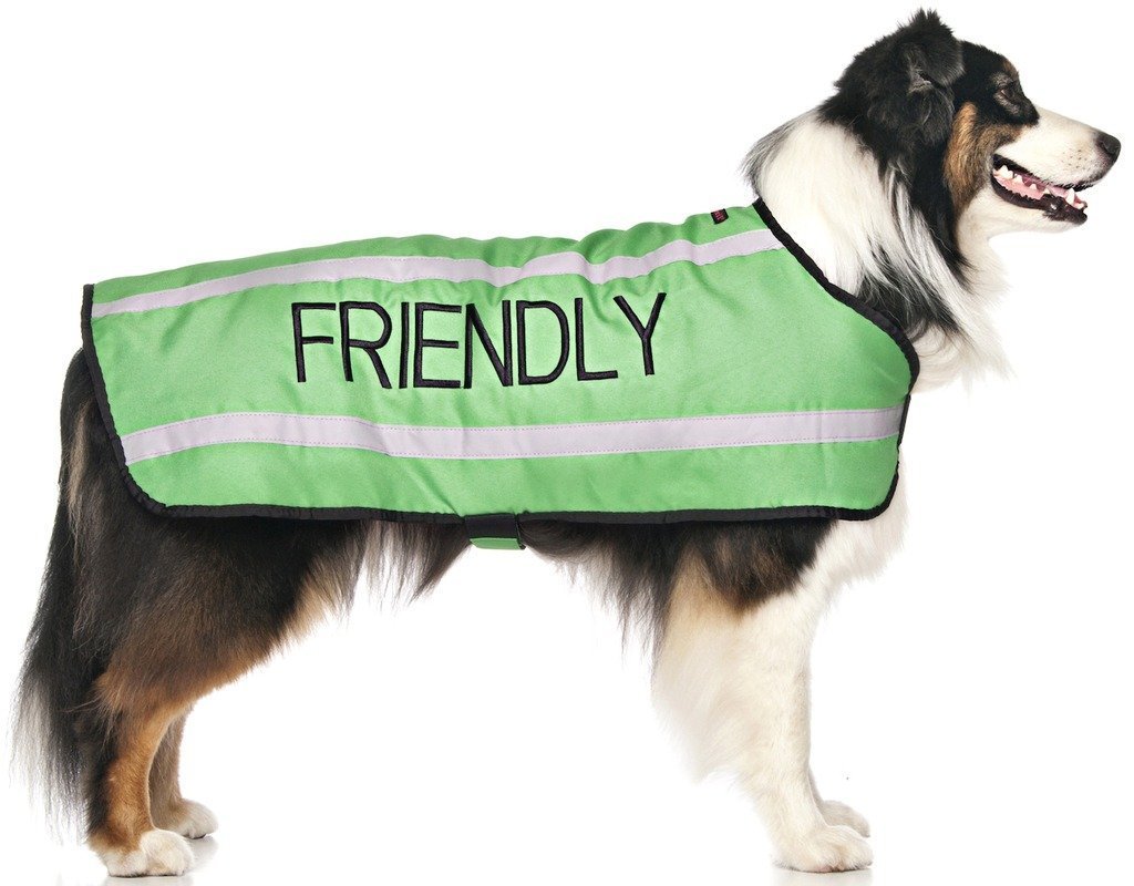 Dexil Limited Friendly Green Warm Dog Coats S-M M-L L-XL Waterproof Reflective Fleece Lined (Known as Friendly) Prevents Accidents by Warning Others of Your Dog in Advance (L-XL Back 23" (59cm)