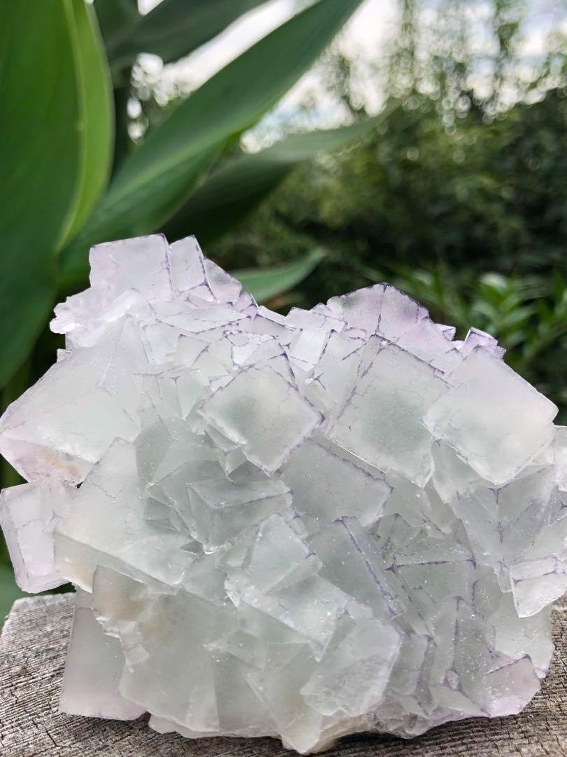 黒木普子『調べ』】 キャンバス油彩 F8号 額装 N0825B