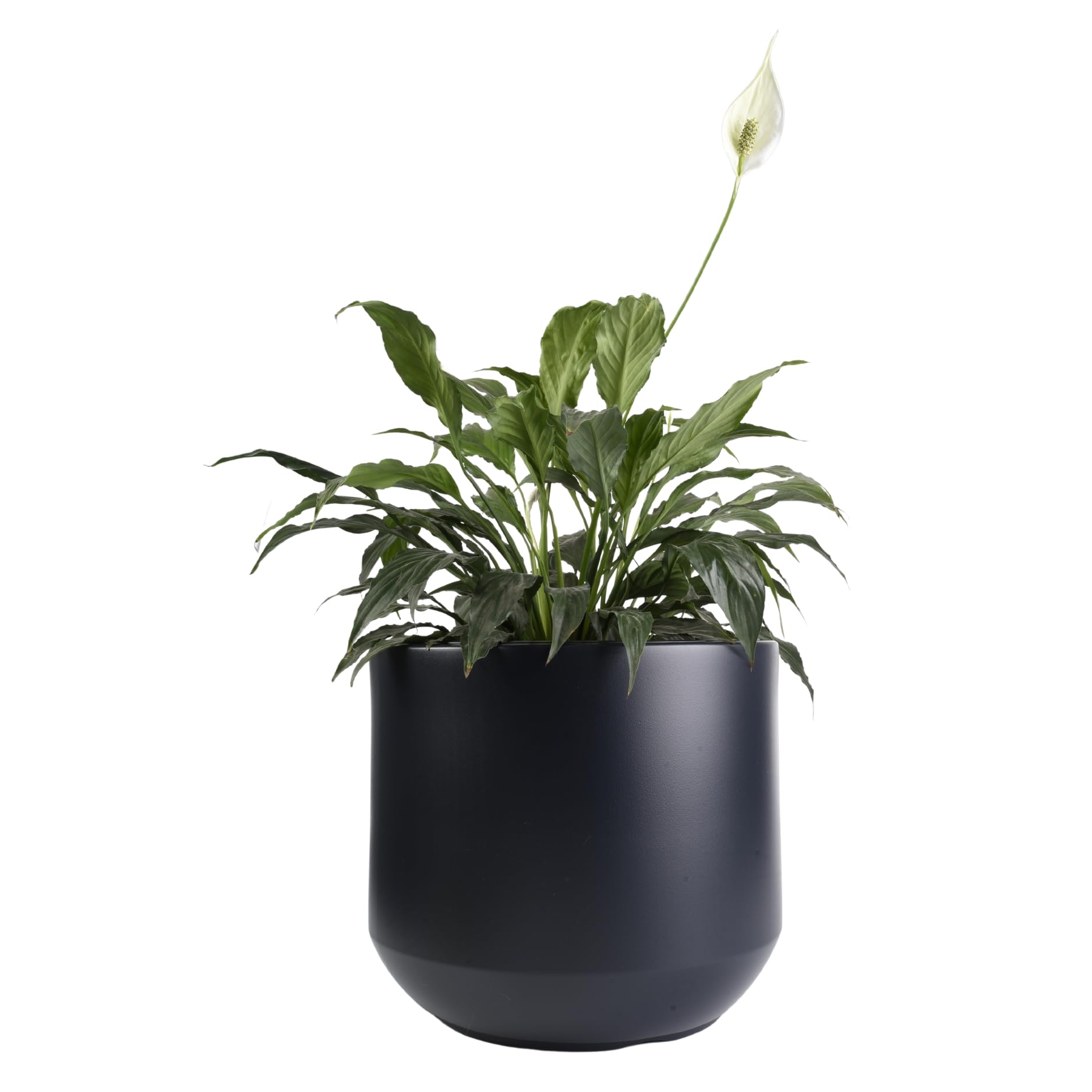 B2C Round Plant Pot Elegant Large Flower Indoor Outdoor Garden Planters Heos 36L Anthracite from B&Q