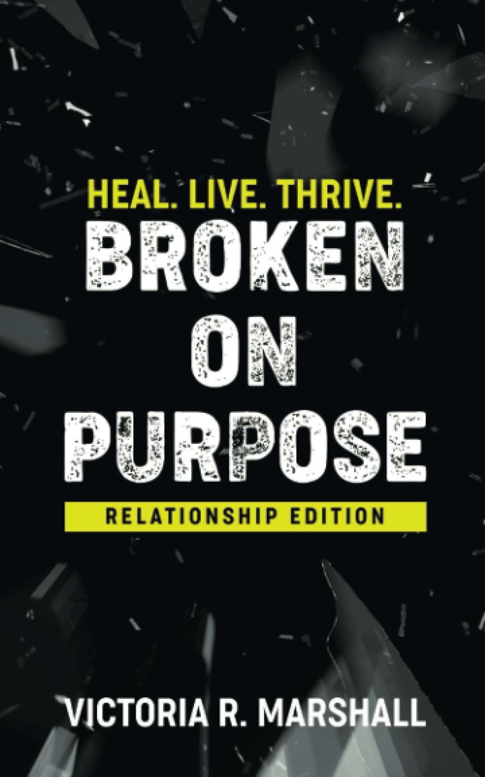 Broken on Purpose: Relationship Edition