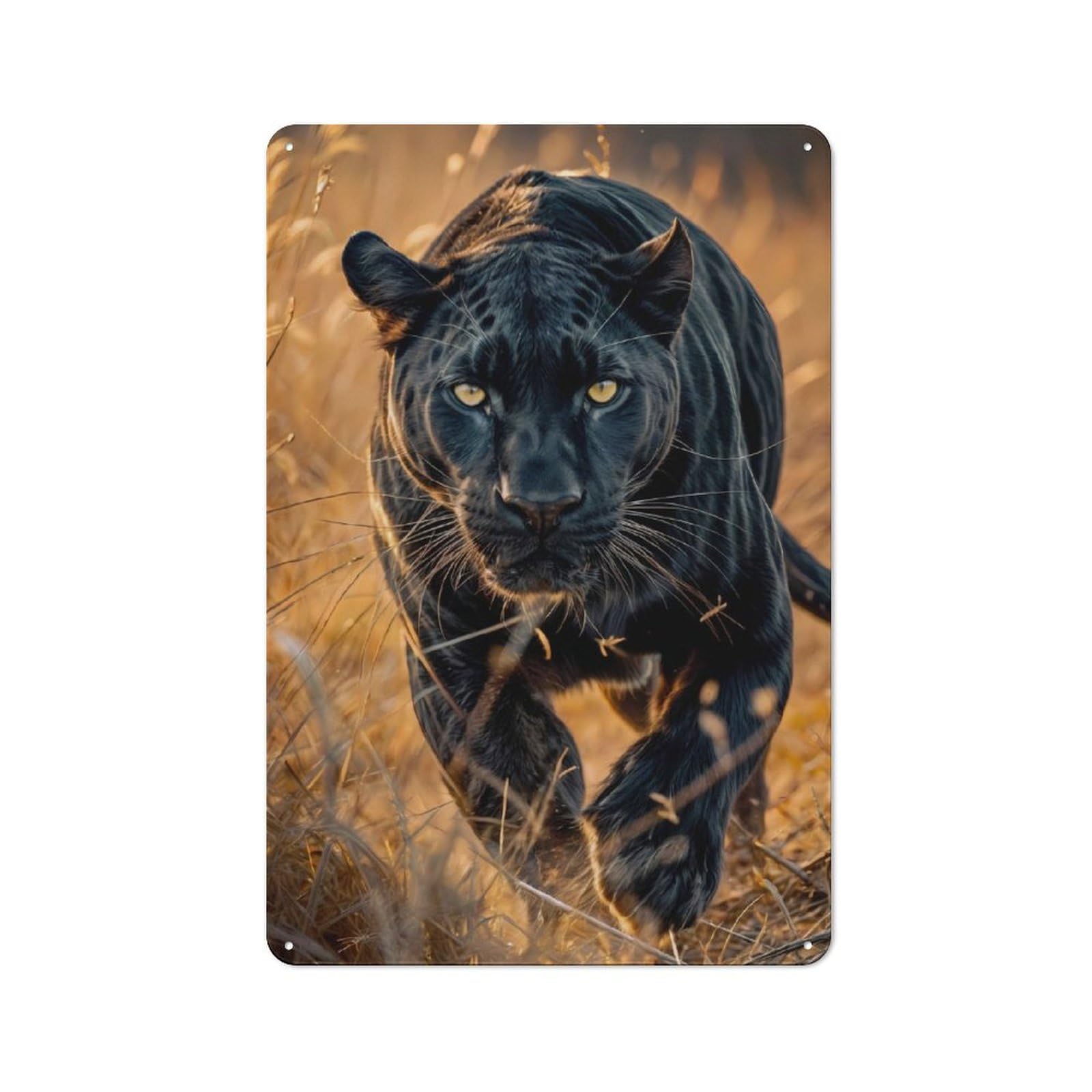 Junmoney Style-14 Metal Plaque 30X20cm With Black Panther In Grass For Pub Or Café, Vintage Decor, For Vintage Wall Decor Fans, For Metal Sign Collectors