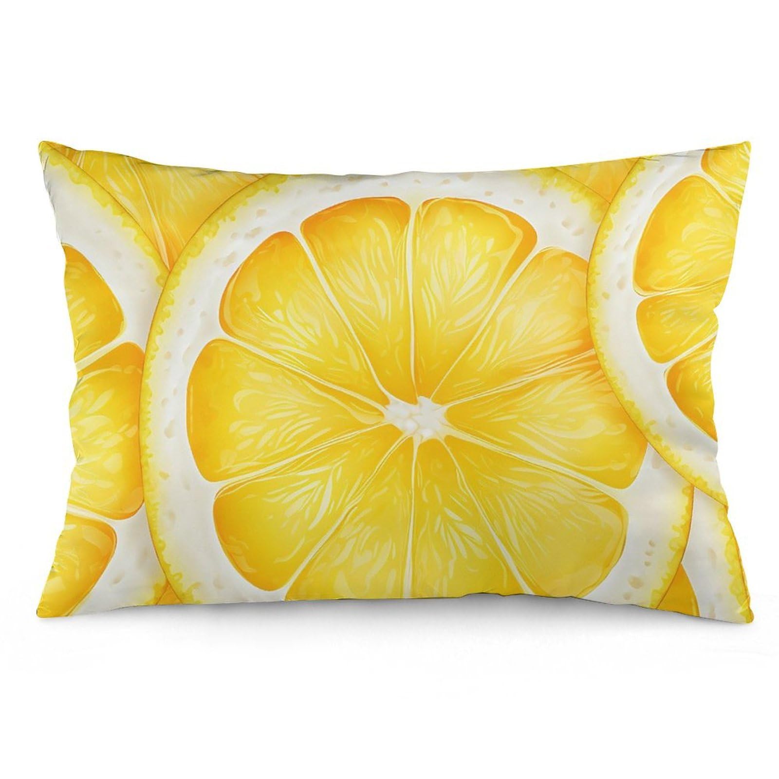 NTVOWPZO 2 Pack Decoration Throw Pillow Covers 16 "x24 Pillowcases Covers Lemon Slice Pattern Pillowcases Modern Farmhouse Home Decor Sofa Cushions Covers for Couch Bed Living Room