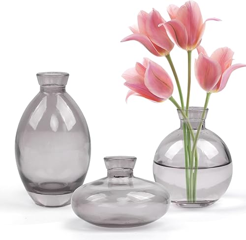 Jarrón de cristal, paquete de 3 jarrones de flores pequeños, jarrones decorativos, mini jarrones cortos, minimalistas, estéticos, modernos, mini