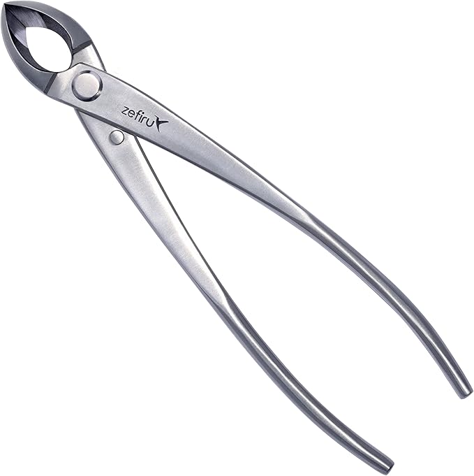 Tronchese Concava Per Bonsai - Acciaio Inox 210 Mm - Taglio Dritto E Precisione