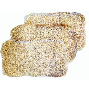 Infi Style Wood and Wool Pad for Air Cooler (20×15 Inches)