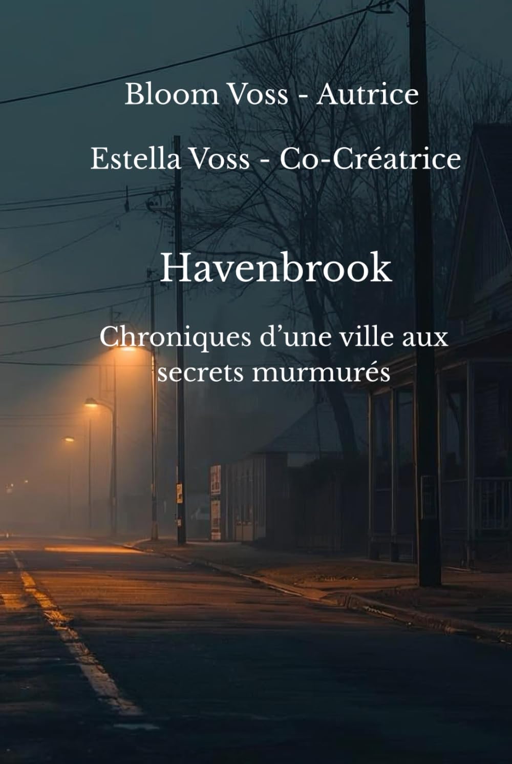 Havenbrook: Chroniques d’une ville aux secrets murmurés