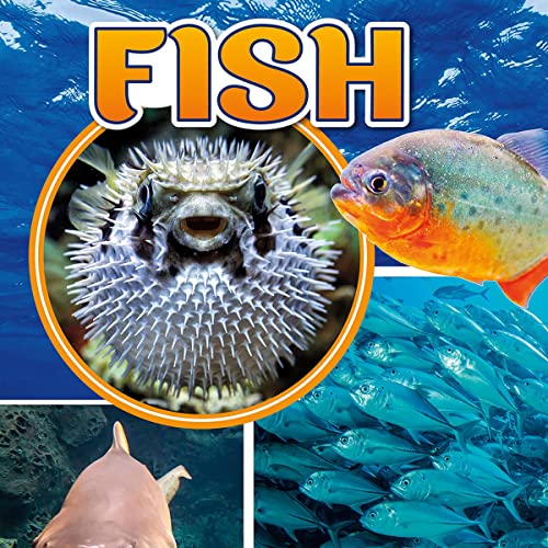 Fish by Lisa J. Amstutz episode artwork