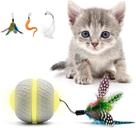 automatic cat toys amazon