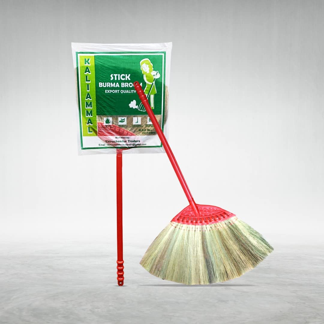 KALIAMMAL Burma Broomstick - Painless and NO DUST Broom (Ruby Pink) (B0BQJFZ4W4) Amazon Price History, Amazon Price Tracker