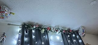 Review Image by Leticia Aleman Leticia Aleman