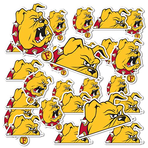 Desert Cactus Ferris State University Sticker Bulldogs Vinyl Decals Laptop Water Bottle Car Scrapbook Sheet T1 (Type 1-1)