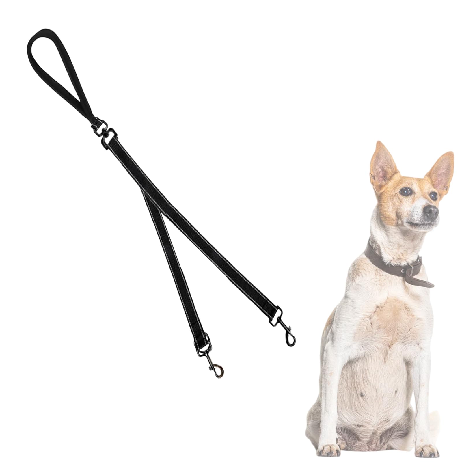 Two Point Control Dog Leash,Double Dog Lead for Walking,No Tangle Training Leashes,Works with No Pull Harnesses,Easy to Converts to Single Lead for Medium Large Dogs