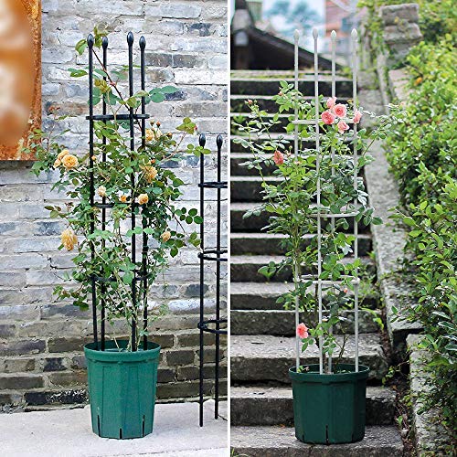 Tuin Planten Klimmen Netto Zware Plant Netting Wij... – Grandado