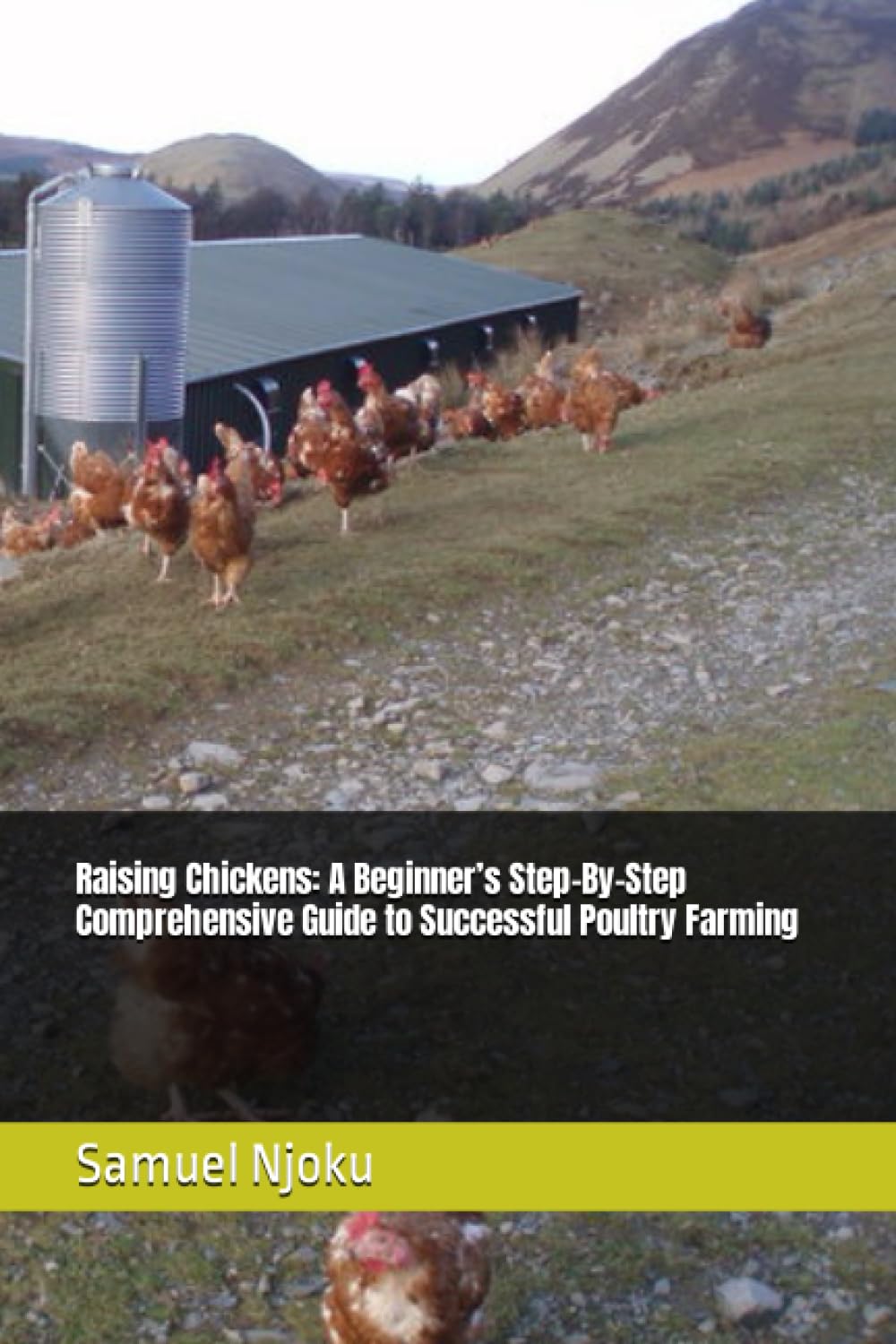 Raising Chickens: A Beginner’s Step-By-Step Comprehensive Guide to Successful Poultry Farming