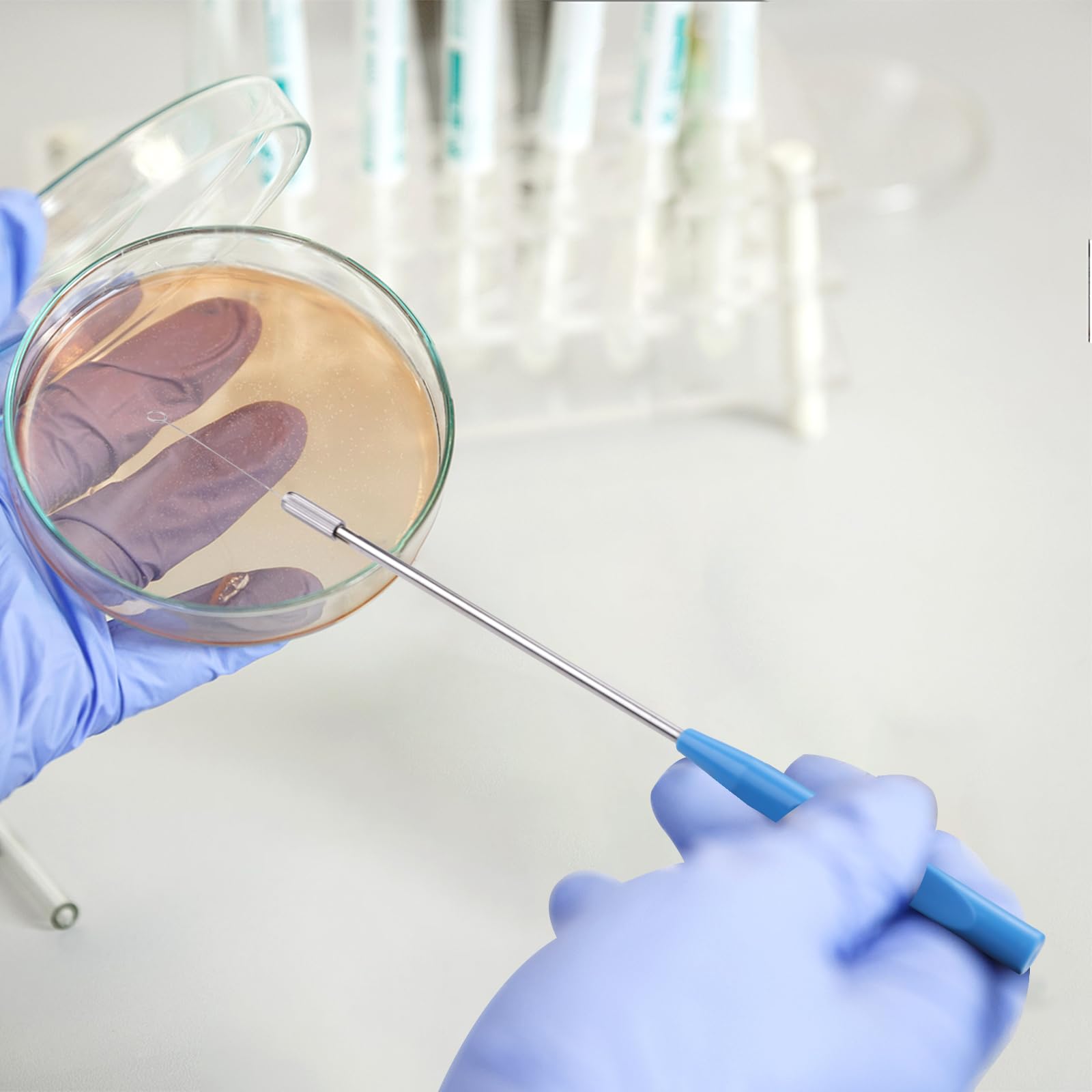Yitexin 100 anse di inoculazione in nichelcromo riutilizzabili con 4 manici in rame, asas de inoculación de 3 diámetros, anillos de inoculación con puntas de aguja, microbiológica (100, 3 TAMAÑO)