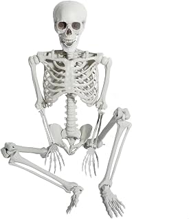 SUNREEK Halloween Full Body Skeleton - 5.4ft/165cm Plastic Human Skeleton Bones with Movable Joints for Halloween Decoration Spooky Scene Party Favors Décor