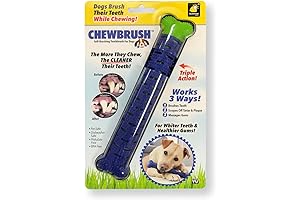 Remove Plaque: BulbHead Chewbrush Toothbrush Dog Toothbrush and Dog Toy - Cleans...