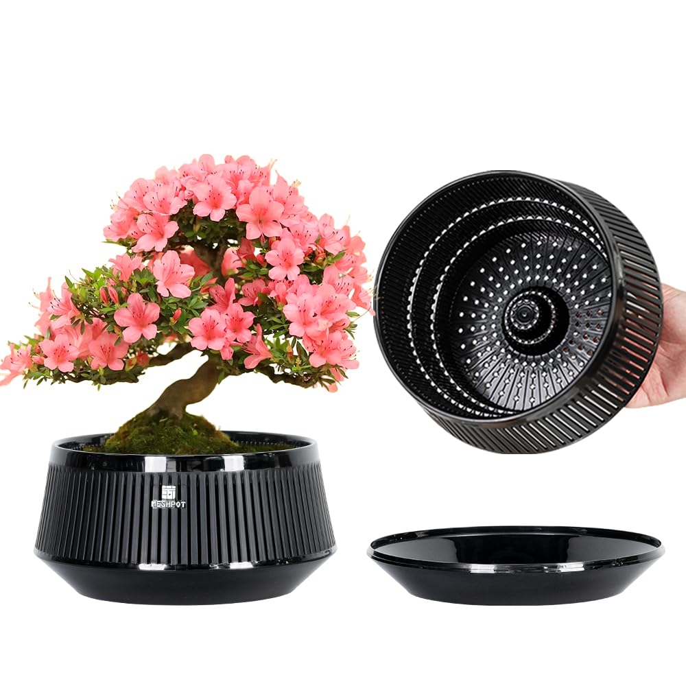Meshpot Black Bonsai Pots With Drainage Tray, Plastic Imitate Ceramic Bonsai Tree Pot With Excellent Airflow, Large Succulent Pots For Indoor Plants, Juniper, Ficus, Chinese Elm, Cactus, 8 Inch, Set Of 1