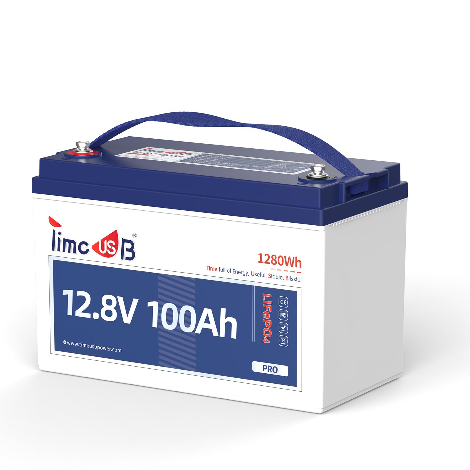 Timeusb 12V 100Ah Gruppo31 Batteria LiFePO4 Ciclo Profondo per Camper | 1280Wh,BMS 100A,4000-15000 Cicli,Max.4P4S Ideale per Camping, Applicazioni Off-Grid e Accumulo Solare Domestico