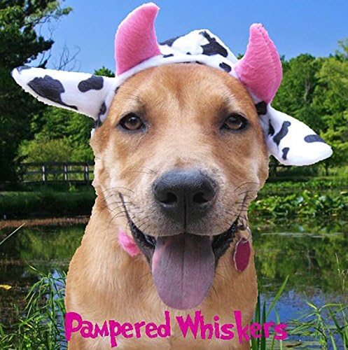 Pampered Whiskers Mad Cow Costume for Dogs and Cats XL (21-25"" Collar)