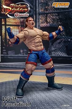 バトルホーク フィギュア Supersonic Warrior Borgman] Immersed in memories of those