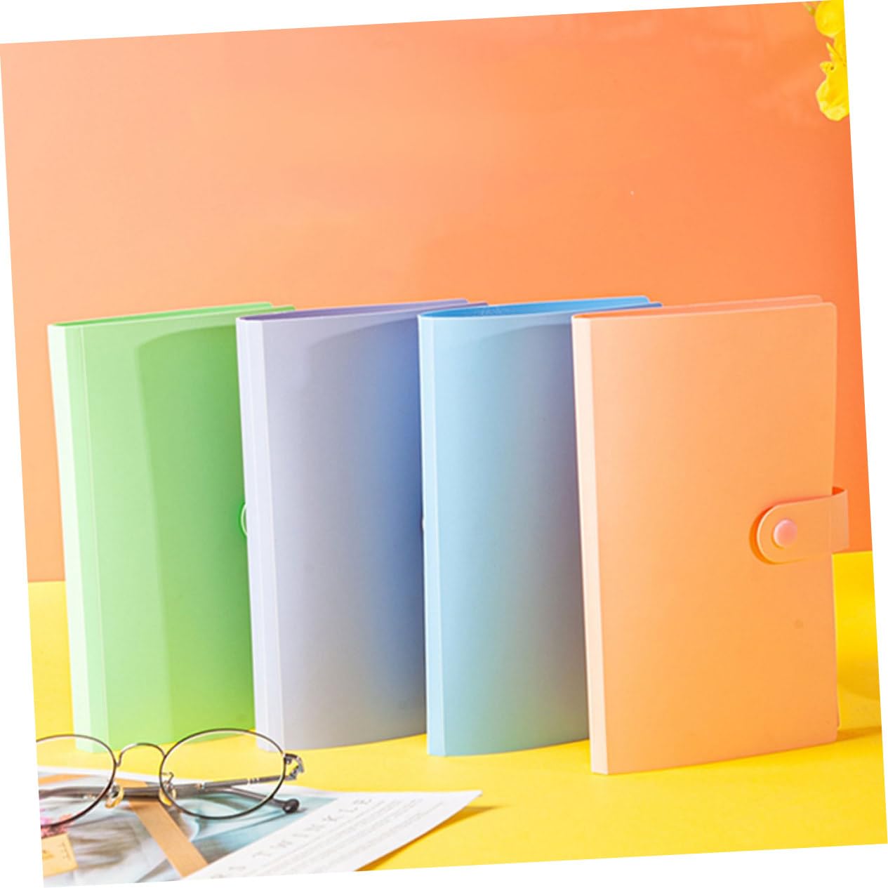 Album Porta Banconote per Collezione, 4 Libri in Pp Trasparente