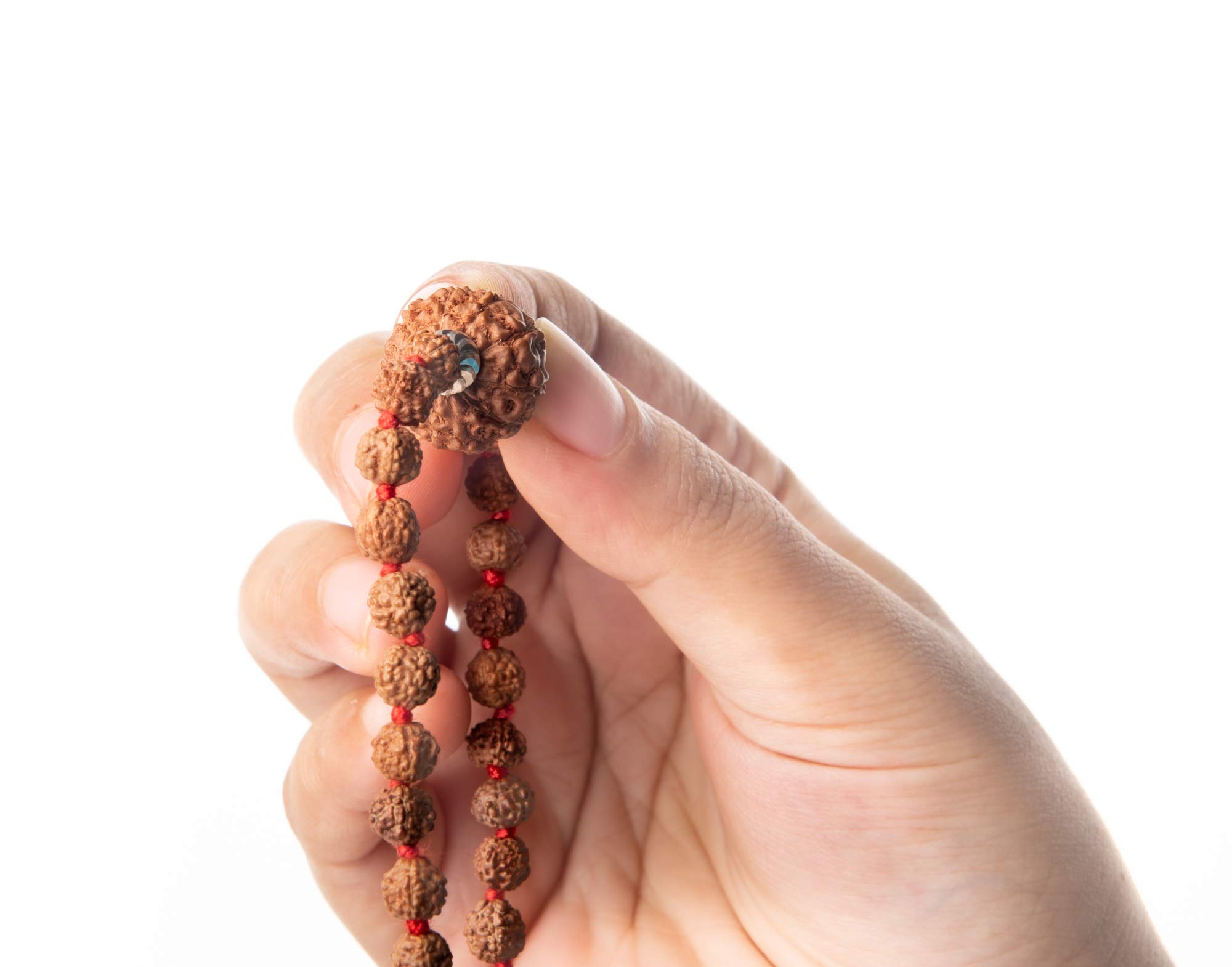 Wonder Care - Original Rudraksha Bead/Rudraksha Bead Natural Rudra Religious Rosary Bead…, 10 Mukhi - Image 4
