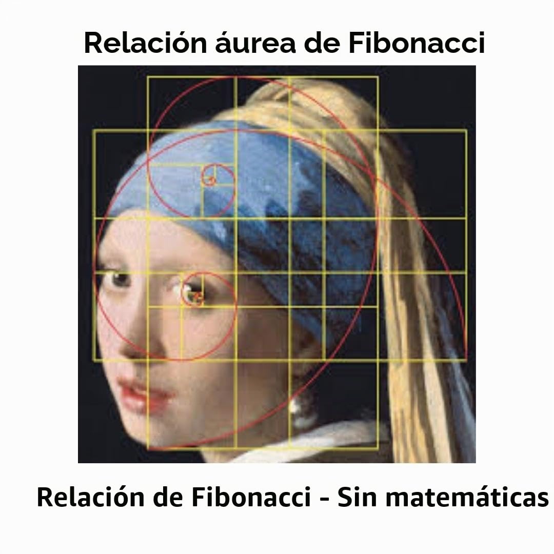 Set de reglas No-Math 12", 3 reglas PETG flexibles | Disenado y fabricado en Australia; division sin calculos; dibujo, diseno y maquetacion