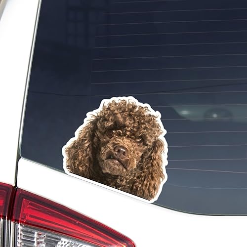Calcomanía para automóvil de caniche de juguete, aspecto realista, cara de perro de caniche marrón, impermeable, extraíble, para interiores y