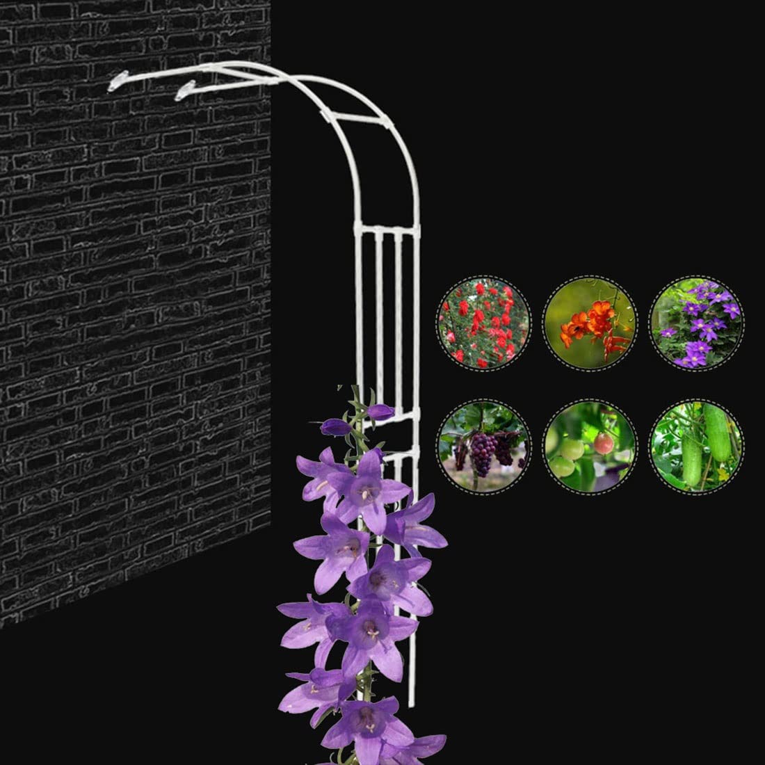 Arche de rosier murale blanche L180xH240 cm en métal pour jardin
