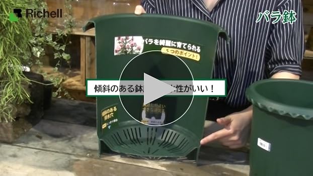 Amazon | リッチェル バラ鉢 ロザリアンポット 30型 ダークグリーン