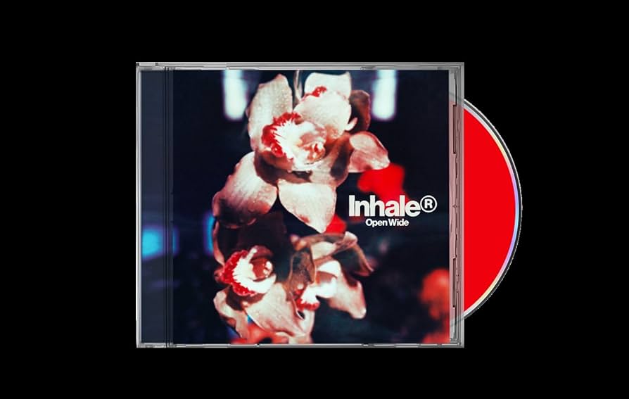 ★ Inhaler レコード 7\" 7inch vinyl 