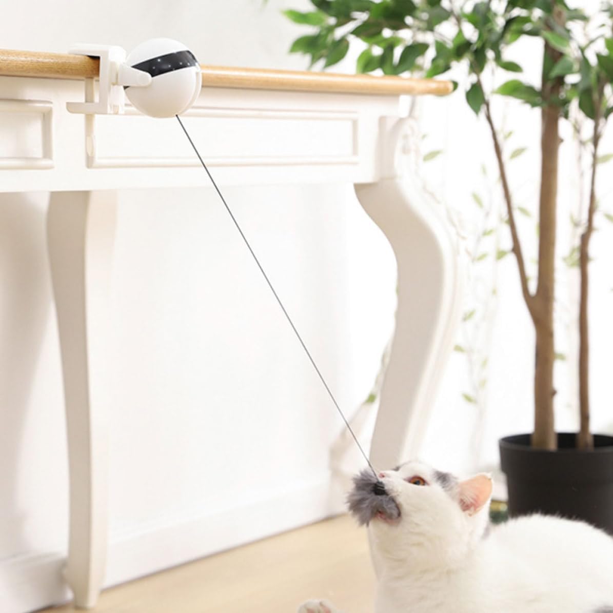 PRETYZOOM Electric Cat with Clip on Table Automatic Shut Down White image 4