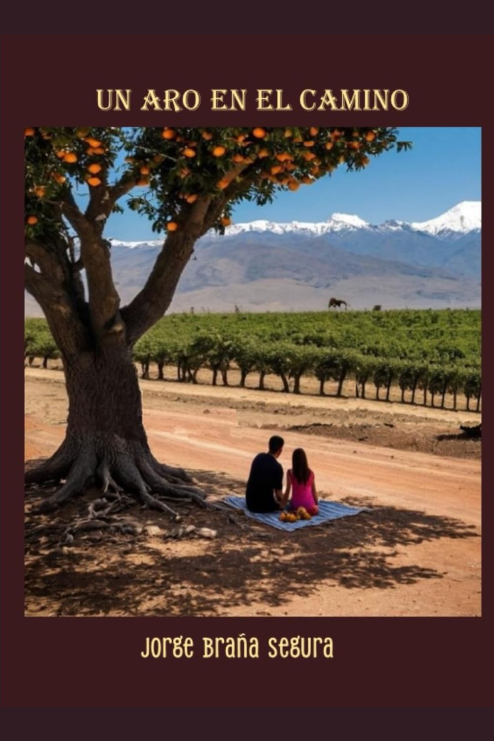 UN ARO EN EL CAMINO (Spanish Edition)