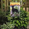 Caroline's Treasures SS8263GF Flat Coated Retriever Garden Flag Mailbox Flag Decorative Yard Flag Banner Outside Patio Artwork Yard Flower Beds, Garden Size, Multicolor #1