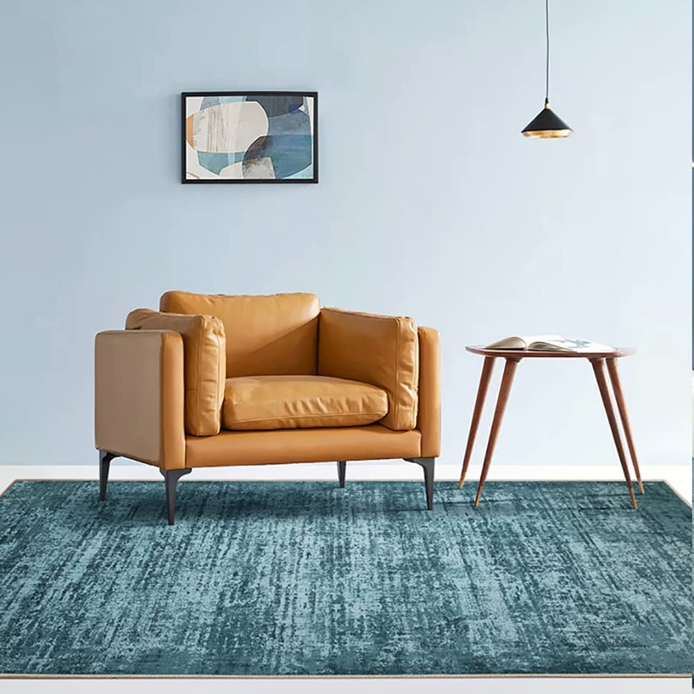 Tapis de surface classique lavable pour éliminer les taches du salon