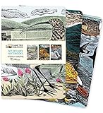 Angela Harding: Wildlife Set of 3 Midi Notebooks (Midi Notebook Collections)