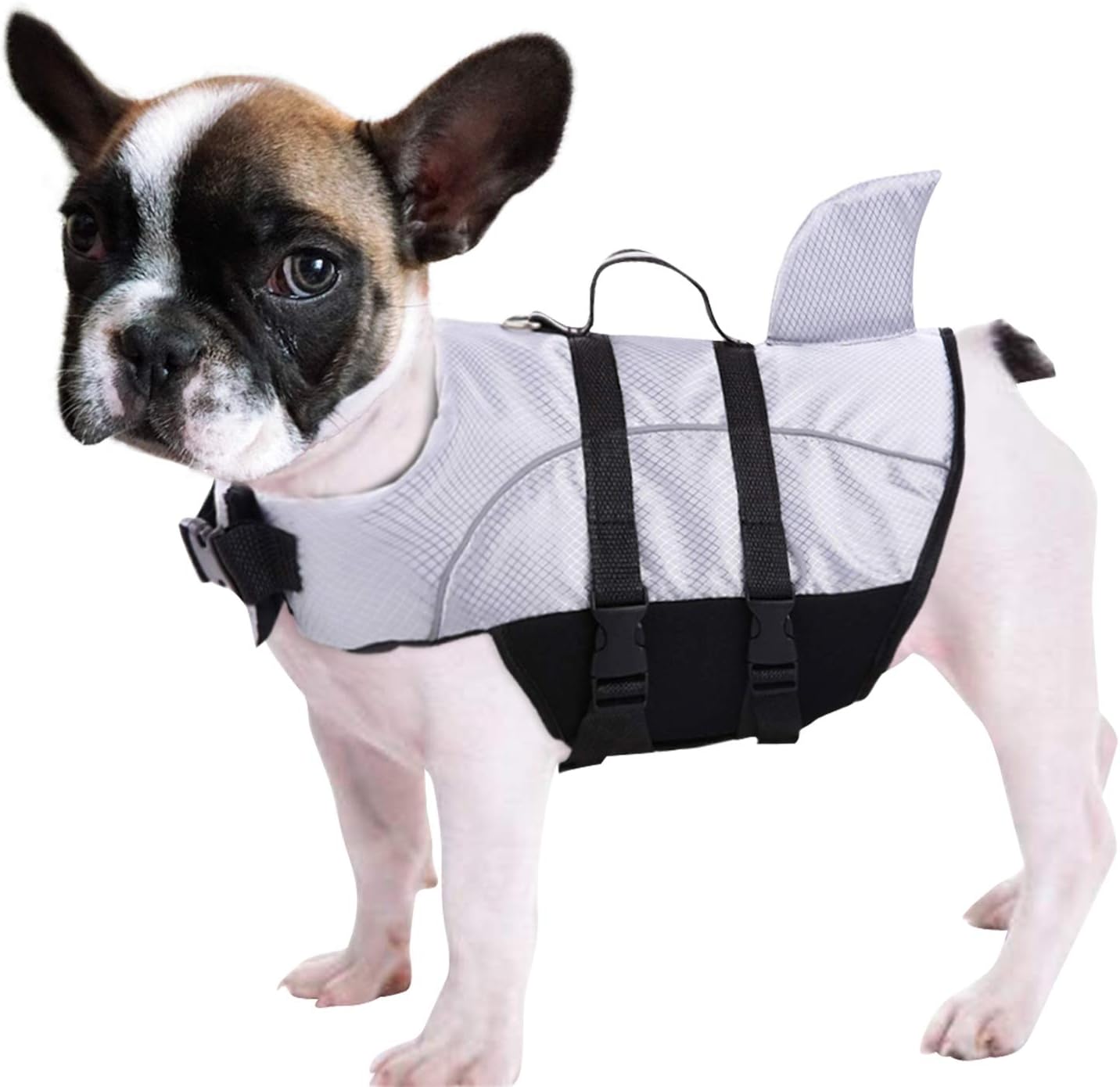 Queenmore Ripstop Dog Life Jacket Shark Life Vest for Dogs, Safety Lifesaver with High Buoyancy and Lift Handle for Small and Medium Breeds（Grey XS）