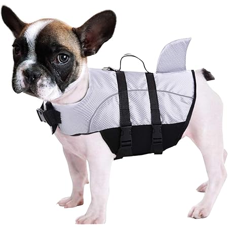 cute dog life jacket